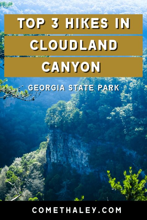 This Georgia State Park features deep canyons, waterfalls, + miles of trails! Hike one of these Cloudland Canyon trails on your next visit. Hiking In Florida, Southern Road Trips, Hiking In Georgia, Smokey Mountains Vacation, Georgia State Parks, Cloudland Canyon, Visit Georgia, Waterfall Trail, Georgia Travel