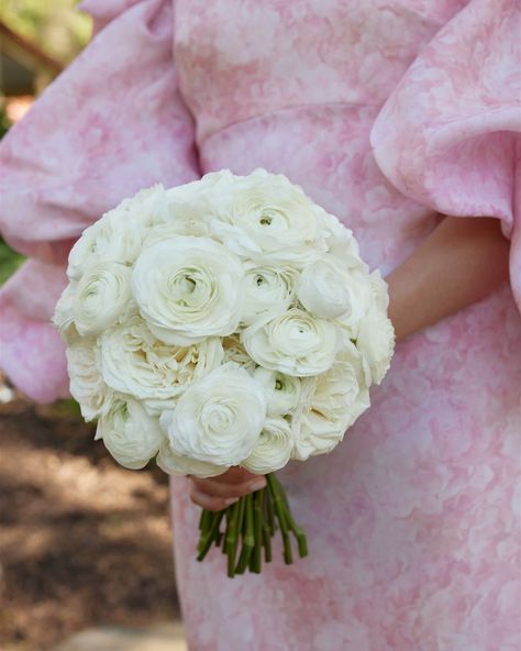 Katherine's gorgeous white ranunculus bouquet with her stunning pink wedding gown. The perfect combination

#adelaidewedding #adelaideweddings #melbournewedding #melbourneweddings #bridalfashion #bridalbouquet #pinkweddingdress #weddingflowers #modernbride #modernflowers White Ranunculus Wedding Bouquet, Ranaculas Bouquet, Ranunculus And Peony Bouquet, Ranuncula Bouquet, White Ranunculus Bouquet, Ranunculus Bridal Bouquet, Pink Wedding Gown, Ranunculus Wedding Bouquet, Ranunculus Wedding