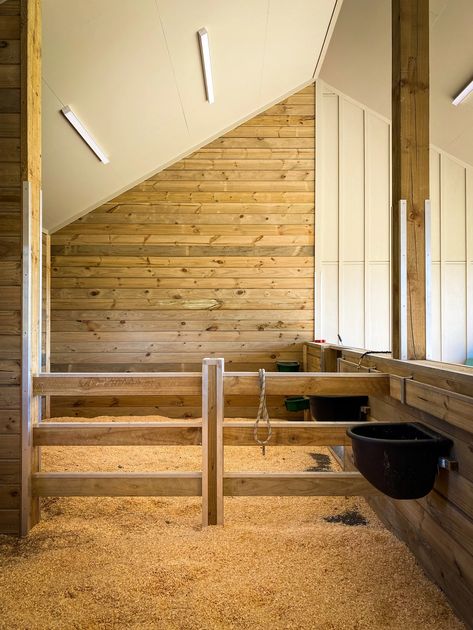 A barn built for more than one kind of horse power | Harrison Lane Horse House Ideas, Horse Enclosures, Barn Ideas For Horses, Horse Stables Small, Horse Barn Interior, Mini Horse Barn, Simple Horse Barns, Horse Barn Ideas, Small Stable