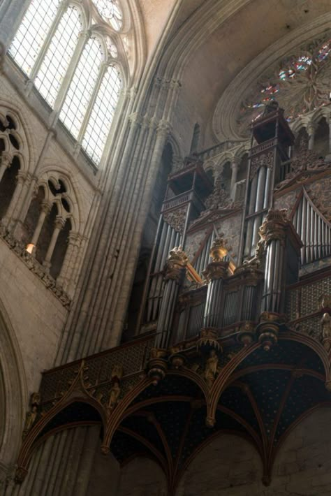 Goth Architecture, Reims Cathedral, Cathedral Basilica, Gothic Cathedrals, Cathedral Architecture, Ancient Greek Architecture, Gothic Cathedral, Gothic Aesthetic, Gothic Architecture