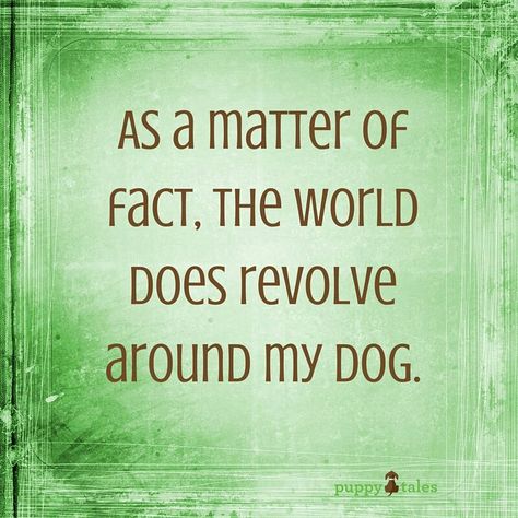 Dog truths Lou Dog, Dog Rules, Animal Quotes, Dog Quotes, Border Collie, Shih Tzu, My Dog, Dog Life, I Love Dogs