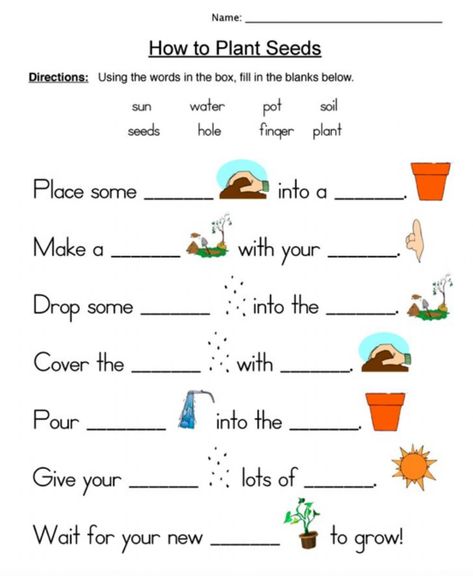 How to Plant Seeds - Interactive worksheet Plants And Seeds Grade 1, Science Worksheets For Grade 4, Science For Class 1, Types Of Plants Worksheets For Grade 1, How To Plant Seeds, Seed Germination Worksheet, Plants Grade 1, Plants Worksheets For Kindergarten, Plants Worksheets For Kids