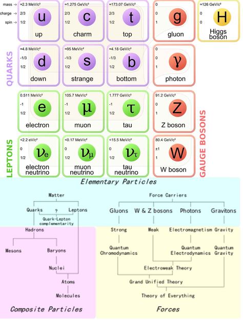 Standard Model Of Elementary Particles, Standard Model Of Particle Physics, Physics Aestethic, Atomic Physics, Physics Scientists, Atomic Model, Physics Poster, Physics Problems, Quantum Realm