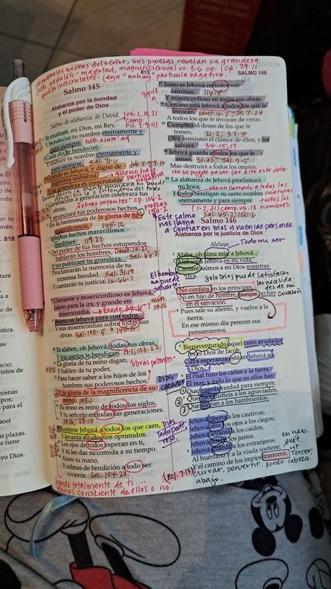 Bible Book Overview, Bible Decorations Ideas, Annotated Bible, Bible Binder, Bible Journaling Aesthetic, Bible Goals, Bible Highlighting, Bible Journal Notebooks, Bible Doodling