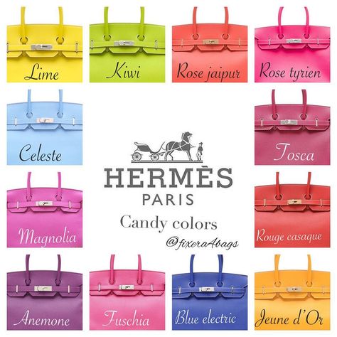 Hermes Birkin Colours, Hermes Colors, Sac Hermes Kelly, Birken Bag, Birkin Handbags, Handbag Storage, Handbag Outfit, Red Handbag, Luxury Purses