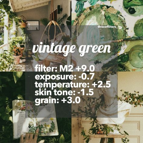 #vintagegreen #vintagevibes #urbanjungle #artsy #vscofilters #instagramfilters #vsco #photography #filter #instagram Natural Vsco Filter Free, Green Vsco Filter, Lightroom Hacks, Dorm Plants, Vsco Recipes, Nature Palette, Vsco Edits, Foodie Code, Green Filter