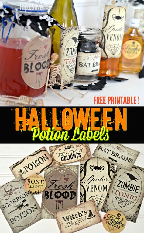 Create Spooky Halloween Potion Bottles with Our 10 FREE Printable Labels Potions Labels, Halloween Labels Free, Cheap Halloween Crafts, Diy Halloween Apothecary Jars, Halloween Apothecary Jars, Halloween Apothecary Labels, Printable Halloween Decorations, Halloween Bottle Labels, Halloween Girlande