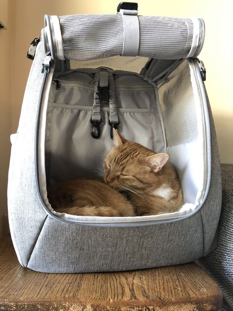 [SponsoredPost] 'Currently Back-Ordered. Estimated Ship Date June 17Th --- 'The Navigator' Convertible Cat Backpack Is The Perfect Backpack For Hikers, Outdoor Lovers, And Adventurers. It's Also Great For Basic Travel Needs Like Trips To The Vet And Car Rides And Gives Your Cat Plenty Of Visibility To Watch The World Go By. Features Include: Holds Up To 74 Lbs Of Cat Water Reservoir Pocket (Does Not Come With Water Bladder) Zippered Pocket With 9 Inside Pockets #petcarrierbag Cat Backpack Aesthetic, Cat Travel Bag, Cat Bag Carrier, Travel Cat, Cat Carrier Bag, Cat Backpack Carrier, Pet Carrier Bag, Water Bladder, Adventure Cat