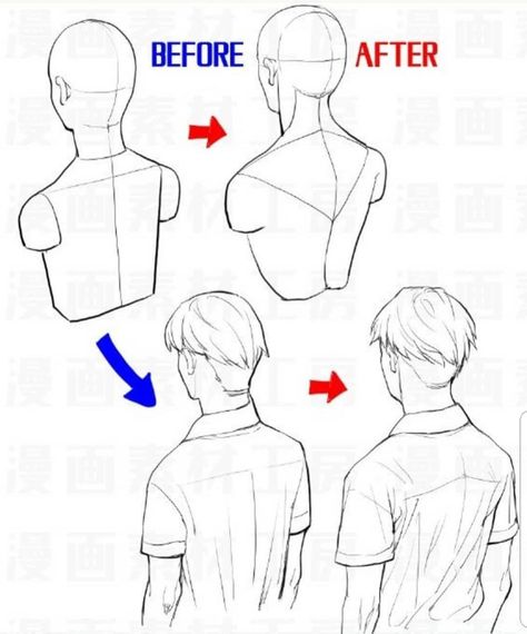 Výtvarné Reference, Body Anatomy, Anatomy Drawing, Poses References, Guided Drawing, Anatomy Reference, Anime Drawings Tutorials, Back View, Drawing Skills