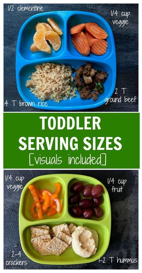 Learn what and how much your toddler should be eating with actual pictures of toddler serving sizes. @MomNutrition Toddler Nutrition, Toddler Snack, Easy Toddler Meals, Serving Sizes, Different Foods, Breakfast Low Carb, Toddler Lunches, Toddler Stuff, Healthy Toddler Meals