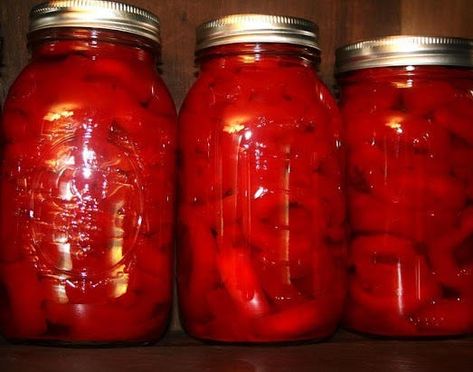 How to Pickle and Can Cinnamon Pickles Cinnamon Pickles Recipe, Cinnamon Pickles, Pickle Platter, Crab Apple Jelly, Red Hots Candy, Hot Candy, Vegetable Appetizers, Pickles Recipe, Canning Pickles