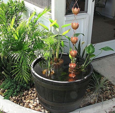 How to Make a Rain Chain Water Feature Rain Chain Water Feature, Make A Rain Chain, How To Make A Rain Chain, Rain Garden Design, Copper Rain Chains, Backyard Water Feature, Rain Chain, Water Collection, Rain Barrel