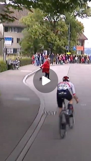 GCN - Global Cycling Network on Instagram: "🐶 This could have been a nasty collision for @marchirschi at the @tourdesuisse_official 🇨🇭 ⁠ ⁠ Check out the Link In Bio for our full race report! ⁠ ⁠ ⁠ #tourdesuisse #tds #GCNracing #RoadBike #GCN #Racing #GlobalCyclingNetwork #CyclingLife #Bicycle #RoadCycling #Cyclist #BikeLife #BikeRacing #CycleRacing #Bike #dogs Watch Live On Discovery+, or Max" Racing Cyclist, Road Cycling, Watch Live, Racing Bikes, Bike Life, Road Bike, Link In Bio, Cycling, Bicycle