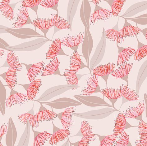 Jocelyn Proust, Jewelry Packaging Design, Australian Wildflowers, Australian Flowers, Australian Native Flowers, Flowery Wallpaper, Abstract Pattern Design, Land Art, Floral Illustrations