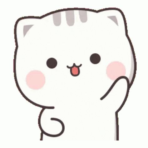 Cat Animation Gif, Animated Cat Gif, Cute Png Gif, Peach Gif, Cutie Cat-chan, Hi Gif, Message Stickers, Cutie Cat, Cream Cat