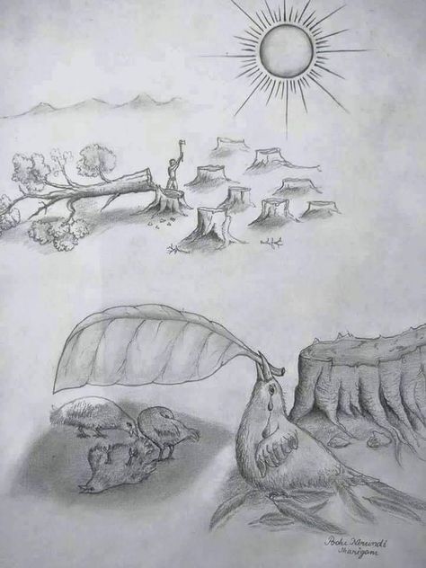 Deforestation Drawing, Tree Pencil Sketch, Save Earth Drawing, Save Water Poster Drawing, Earth Day Drawing, Earth Drawings, Forest Drawing, Earth Poster, Drawing Competition