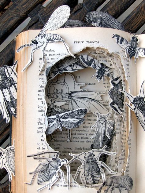 .book shadow  box Arte Peculiar, Altered Book Art, Book Sculpture, Gcse Art, Bugs And Insects, Paper Book, Handmade Books, Book Projects, Open Book