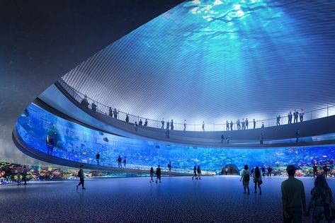 Virtual Aquarium, Rolex Learning Center, Kazuyo Sejima, Aquarium Architecture, New York Projects, New York Neighborhoods, Ryue Nishizawa, Toledo Museum Of Art, Glass Pavilion