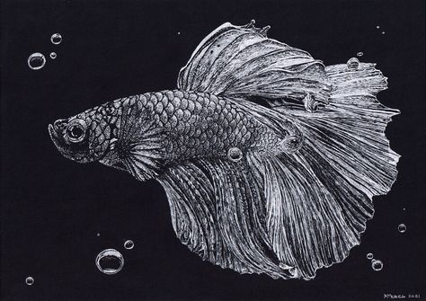 Cockerel Fish White Gel Pen Drawings On Black Paper, White Gel Pen Drawings, White Pen On Black Paper Drawing, Gel Pen On Black Paper, Dot Drawings, Gel Pen Drawings, Art Topics, Black Sketchbook, Gel Pen Art