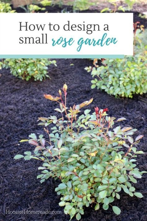 HOW TO DESIGN A SMALL ROSE GARDEN - Learn how to design and plant your own rose garden Small Rose Garden, Rose Garden Landscape, Tattoo Plant, Rose Garden Design, Garden Wallpaper, Meteor Garden 2018, Magic Garden, Luxury Garden, Growing Roses