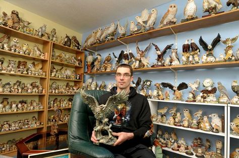 Birdman of Devon fills every room in house with 21,600 bird ornaments Bird Accessories, Car Boot Sale, Owl Collection, Bird Ornaments, Bird Decor, Paperweights, Boots For Sale, Bird Houses, The Collector