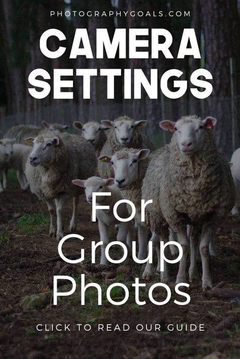 Camera Settings For Group Photos, Group Photo Camera Settings, Group Photography Settings, Camera Settings For Large Group Photos, How To Take Group Photos, Group Portrait Photography, Large Group Photography, Best Camera Settings, Sell Photography