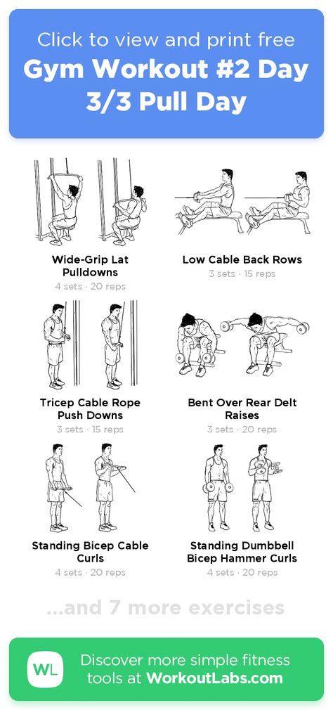 Pull Day Workout Gym Machines, Circuit Gym Workout, Pull Day Machines, Cable Pull Exercises, Beginner Pull Day Workout, Push Day Workout Machine, Push Day Cable Workout, Cable Pull Workout, Gym Pull Day