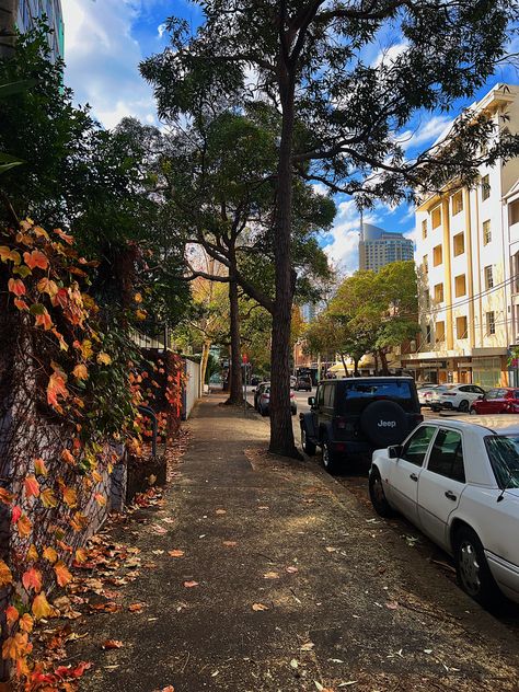 Sydney Autumn, Aesthetic Sydney, Orange Photo, Uni Student, Aesthetic Street, Cars Jeep, Inspiration Aesthetic, Leaves Fall, Post Instagram