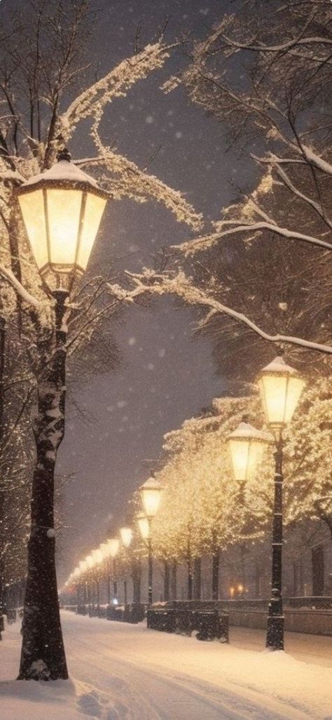 Snowy Streets At Night, French Winter Aesthetic, Cozy Winter Night Aesthetic, Snowy Aesthetic Wallpaper, Winter Vibes Wallpaper, Animal Expressions, Winter Wonderland Wallpaper, Winter Lights, Herbst Bucket List