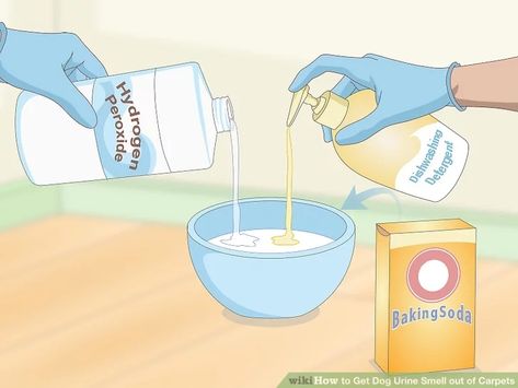 How To Clean Dog Pee Out Of Rug, Getting Rid Of Dog Urine Smell, How To Get Rid Of Pet Urine In Carpet, How To Get Rid Of Dog Smell In Carpet, How To Get Rid Of Pee Smell In Carpet, How To Get Rid Of Urine Smell In Carpet, How To Neutralize Dog Urine In Carpet, How To Clean Pet Urine From Carpet, Get Rid Of Pet Urine Odor Carpets