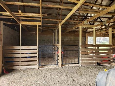 How To Build A Horse Stall, Horse Stall Ideas Cheap, Horse Stalls Cheap, Easy Horse Stalls, 3 Stall Horse Barn, Simple Horse Barns, Small Horse Barns, Barn Layout, Livestock Shelter