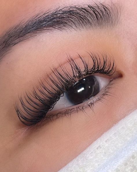 Lash Lift Vs Lash Extension, Lash Pictures, Lash Ideas, Dramatic Lashes, Lash Extensions Styles, Eyelash Extensions Styles, Natural Eyelash Extensions, Eyelash Extentions, Eyelash Lift