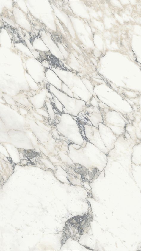 Veiny Marble Countertops, Light Marble Countertops, Sapienstone Countertops, Marble Tile Shower Ideas, Arabescato Kitchen, Marble Worktop Kitchen, Arabescato Marble Kitchen, Shower Marble Tile, Countertop Texture