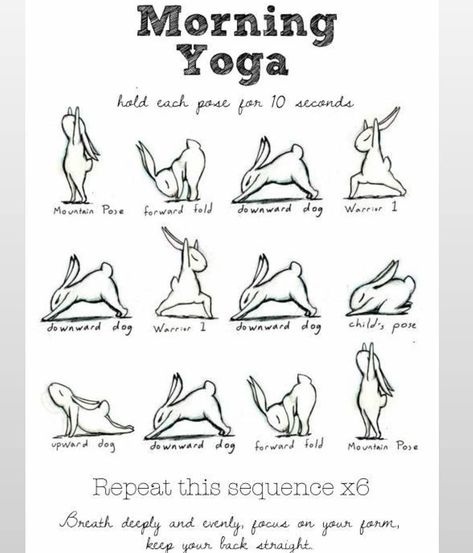 Yoga Healers on Instagram: “Yoga tips 😇💙 . . 🧚‍♂️ @yoga_healers  Don't forget to follow us 😇 🙏...be healthy,be fit be gorgeous 💙” Bunny Yoga, Yoga Foto's, Yoga Positionen, Motivasi Diet, Yoga Ashtanga, Body Transformations, Latihan Yoga, Sup Yoga, Poses For Beginners