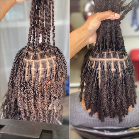 Two Strand Twist Starter Locs Budding, Two Strand Starter Locs Journey, Two Strand Twist Natural Hair Locks, Natural Hair Locs Twists, 3 Month Starter Locs 2 Strand, 4c Hair Starter Locs, Hairstyle For Starter Locs, Matured Two Strand Twist Locs, Starter Loc Sizes 4c