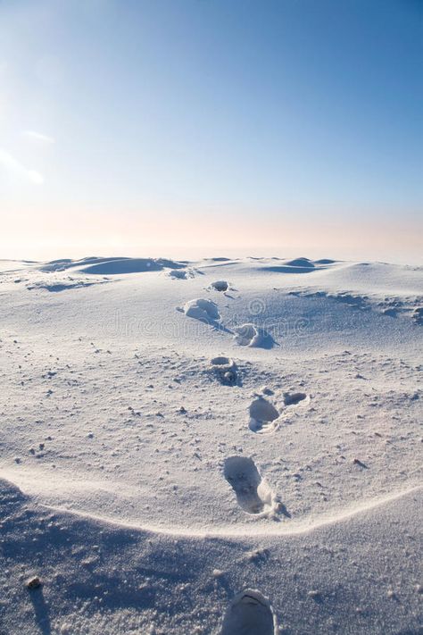 Snow Footprints, Snowy Plains, Wilderness Aesthetic, Footprints In The Snow, Miniature City, Snow Texture, Snow Wolf, Rock Aesthetic, Water Aesthetic