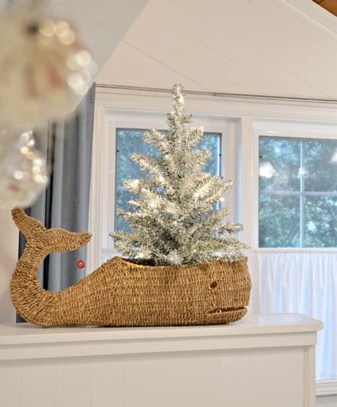 Christmas Tree in Whale Basket. Use a Cool Basket as a Pot for a Mini Christmas Tree. Featured on Completely Coastal. Decor Ideas for a Merry Coastal Christmas. Whale Basket, Holiday Lifestyle, Beach Christmas Trees, Beach Christmas Decorations, Coastal Christmas Tree, Coastal Christmas Decor, Florida Christmas, Blue Christmas Decor, Coastal Holiday