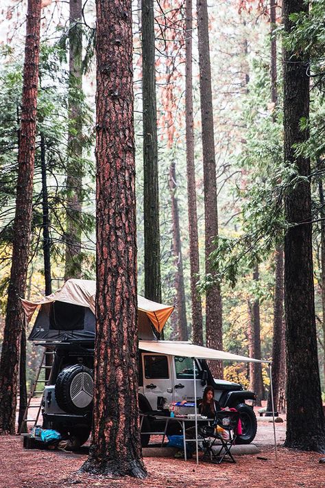 Serene mornings with Front Runner Outfitters overlanding gear including a Roof Top Tent, Awning, Stainless Steel Table, and Easy Out Chairs. Making everywhere home away from home. Photo Cred: @elniniocamo Truck Camping Setup, Camping Setup Ideas, Apache Camper, Overlanding Gear, Overland Camping, Camping Setup, Camper Van Life, Jeep Camping, Camping Set Up