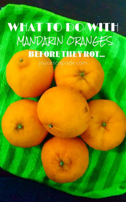 Joy 'N' Escapade: What to do with Mandarin Oranges before they rot..... Halo Oranges Recipes, Leftover Mandarin Oranges, What To Do With Oranges, Recipes Using Mandarin Oranges, Mandarin Orange Recipes, Mandarin Orange Dessert Recipes, Satsuma Recipes, Recipes With Mandarin Oranges, Tangerine Recipes