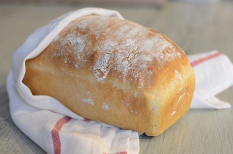 An Easy Recipe for Farmhouse White Bread - Our Future Homestead White Loaf Bread, Toast With Butter, Farmhouse White, Roll Recipes, Bread Baker, Our Future, Instant Yeast, White Bread, Rolls Recipe