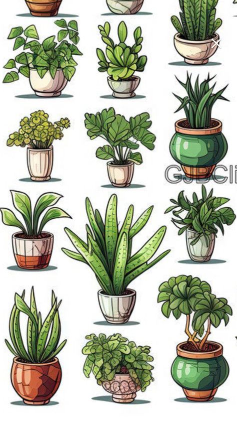 House Plants Poster, Plants In Pots Drawing, Potted Plant Sketch, Plant In A Pot Drawing, Plant Pot Drawing, Potted Plant Drawing, Pots Drawing, Watercolor Miniatures, House Plant Art