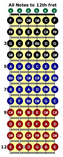 Fretboard Diagram With Note Names Here's a simple example diagram showing you the names of all notes up to the 12 fret. If you don't know these yet then yes, memorizing it all this can be quite boring but it is really really important. Bass Guitar Notes, Guitar Cord, Learn Guitar Chords, Basic Guitar Lessons, Music Theory Guitar, Guitar Lessons Songs, Guitar Notes, Not Musik, Bass Guitar Lessons