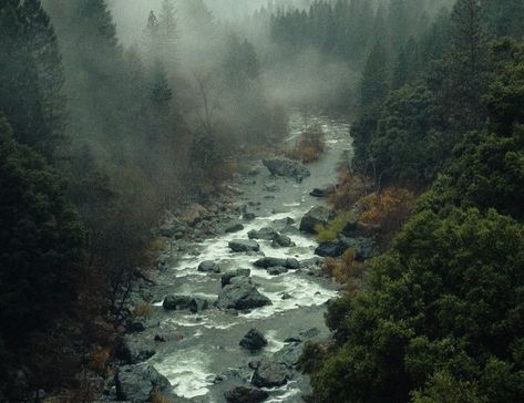 Acid rain's effects on our environment are troubling 🌧️, causing damage to lush landscapes like this pictured mountain stream. How does this unfold and what can we do about it? For insightful knowledge and tangible solutions, follow the link in our bio! 🌍💡 #acidrain #environment #nature #solutions #conservation Rain Landscape, Acid Rain, Rain Photo, Mountain Stream, Surface Water, Water Bodies, Soil Health, Historical Monuments, Our Environment