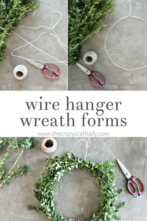 DIY boxwood wreaths - simple winter wreaths using a wire hanger wreath form Wire Hanger Wreaths Diy, Christmas Wreaths Diy Easy Wire Hangers, Christmas Wreath Made From Wire Hanger, Wire Hanger Wreath, Simple Diy Wreath, Diy Simple Wreath, Hanger Wreath Diy Christmas, Diy Wreath With Wire Frame, Simple Christmas Wreath Diy