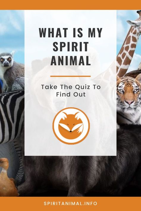 How To Find My Spirit Animal, Finding Your Spirit Animal, How To Find Spirit Animal, How To Find Your Spirit Animal, What Is My Spirit Animal Quiz, Fox Spirit Animal Meaning, Spirit Animal List, Animal Omens, What Is My Spirit Animal