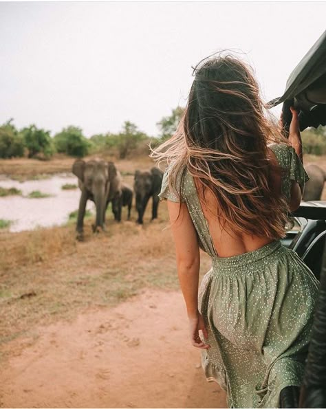 Safari Outfits, Africa Do Sul, Africa Safari, Fresh Hair, Modern Disney, African Safari, Travel Inspo, Travel Lifestyle, The Window