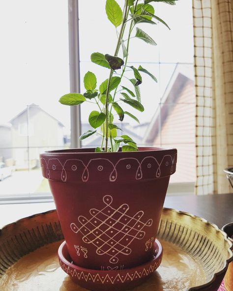 Tulasi madam @ home #kolam #indianhomedecor #myhomemyhappiness Tulsi Madam Ideas, Tulasi Plant In Balcony, Tulasi Kota Designs In Balcony, Tulsi Pot Design In Balcony, Tulasi Kota Designs Painting, Tulsi Plant Decor, Tulasi Pot Design, Tulasi Kota Designs, Tulasi Pooja