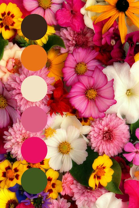 Valentines Day Color Palette 2024, Bright Spring Color Palette Wedding, Event Color Palette, Pink Green Orange Color Palette, Pink Orange Green Color Scheme, Orange Pink Color Palette, Orange And Pink Color Palette, Pink And Orange Color Palette, Floral Color Palette