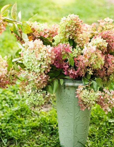 A simple bouquet of fresh or dried hydrangeas makes a beautiful statement. More ideas for decorating with hydrangeas: http://www.midwestliving.com/homes/seasonal-decorating/fall-decorating-with-hydrangeas/?page=7 Decorating With Hydrangeas, Dried Hydrangeas Decor Ideas, Dried Hydrangeas Centerpiece, Dry Hydrangea Arrangements, Simple Bouquet, Fall Hydrangea, Raindrops And Roses, Hydrangea Centerpiece, Hydrangea Arrangements