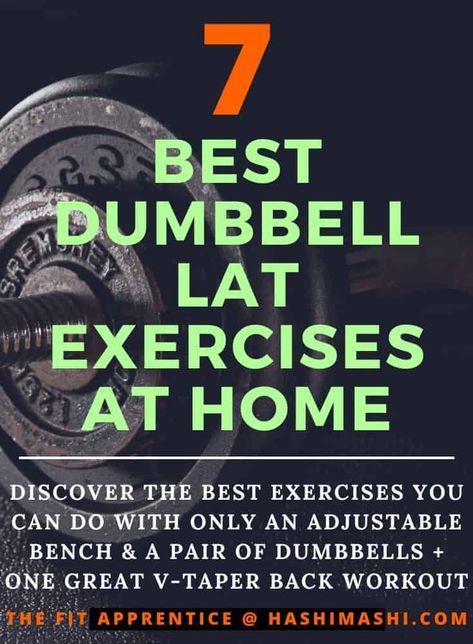 Dumbbell Lat Exercises at Home - Discover the 7 best exercises you can do with only an adjustable bench and a pair of dumbbells in the comfort of your home + one great "V-Taper" Workout. dumbbell lat exercises at home | lat exercises at home with dumbbells | dumbbell exercises for lats at home | best dumbbell lat exercises at home | dumbbell lat home workouts Lats At Home, Best Lat Exercises, Lat Exercises, Lat Workout, Dumbbell Arm Workout, Dumbbell Workout At Home, Tone Arms Workout, Arm Workouts At Home, Adjustable Bench